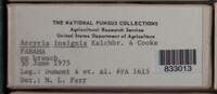 Image Associated With the Occurence